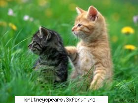 Care sunt animalele voastre preferate?? - Chia e catelusul ei?? - Recycle Bin
