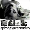 Poze cu Brit - ultima p ziua de azi - Britney *.~ Photos ~.*