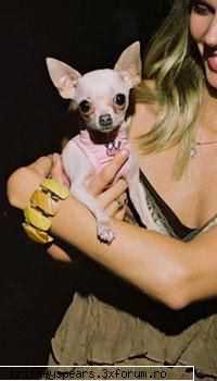 Poze cu Brit - ala e Bit-Bit cutzu` lu` Brit - Britney *.~ Photos ~.*