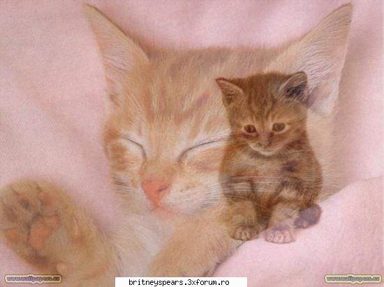 Poze diverse - ce sweet is pisoii astia... ;) nope?:D - Poze
